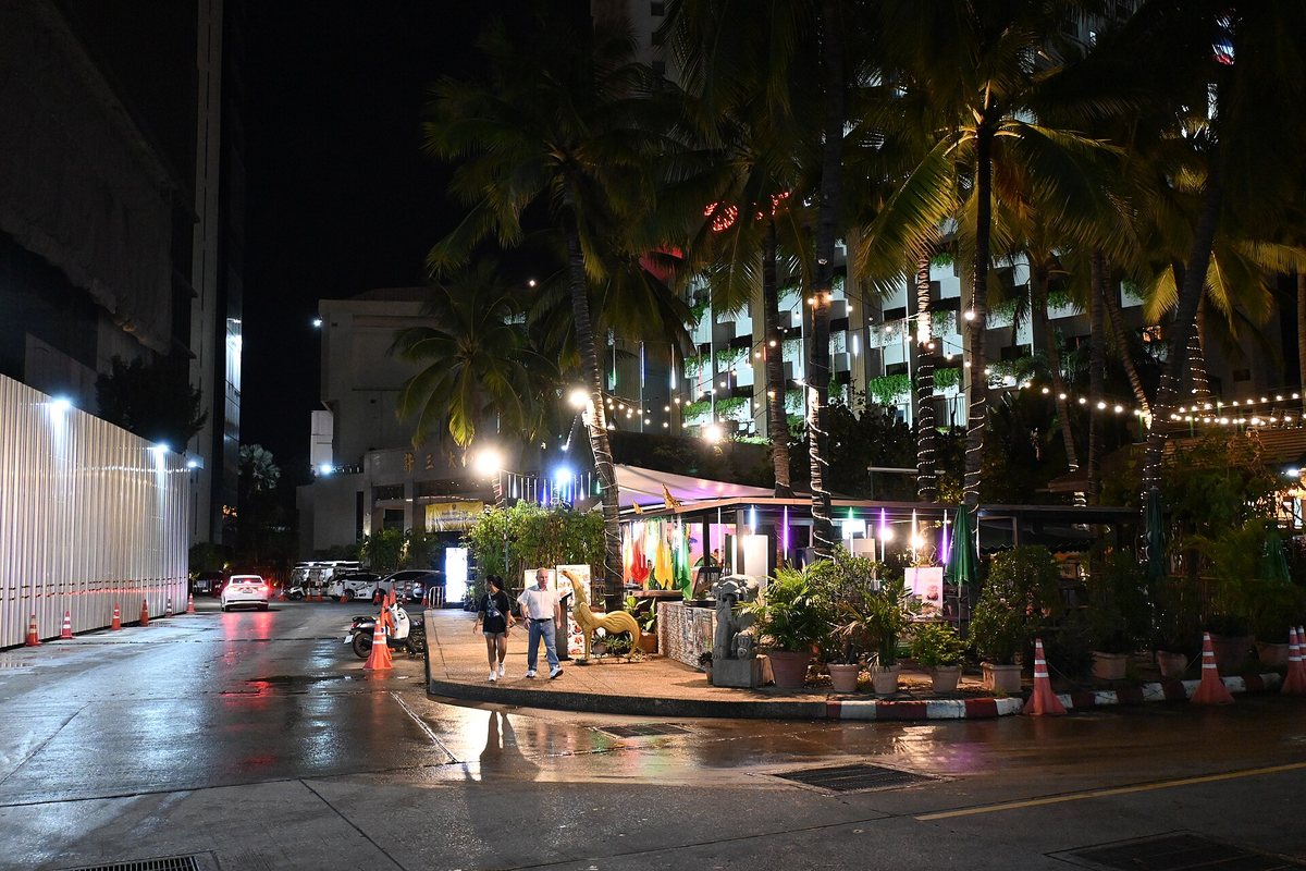 A rain-wet street with palm trees and lights at night