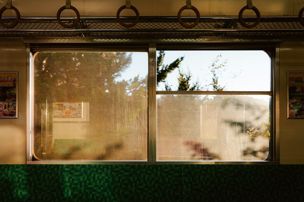 Sunlit trees outside two windows of a train carriage