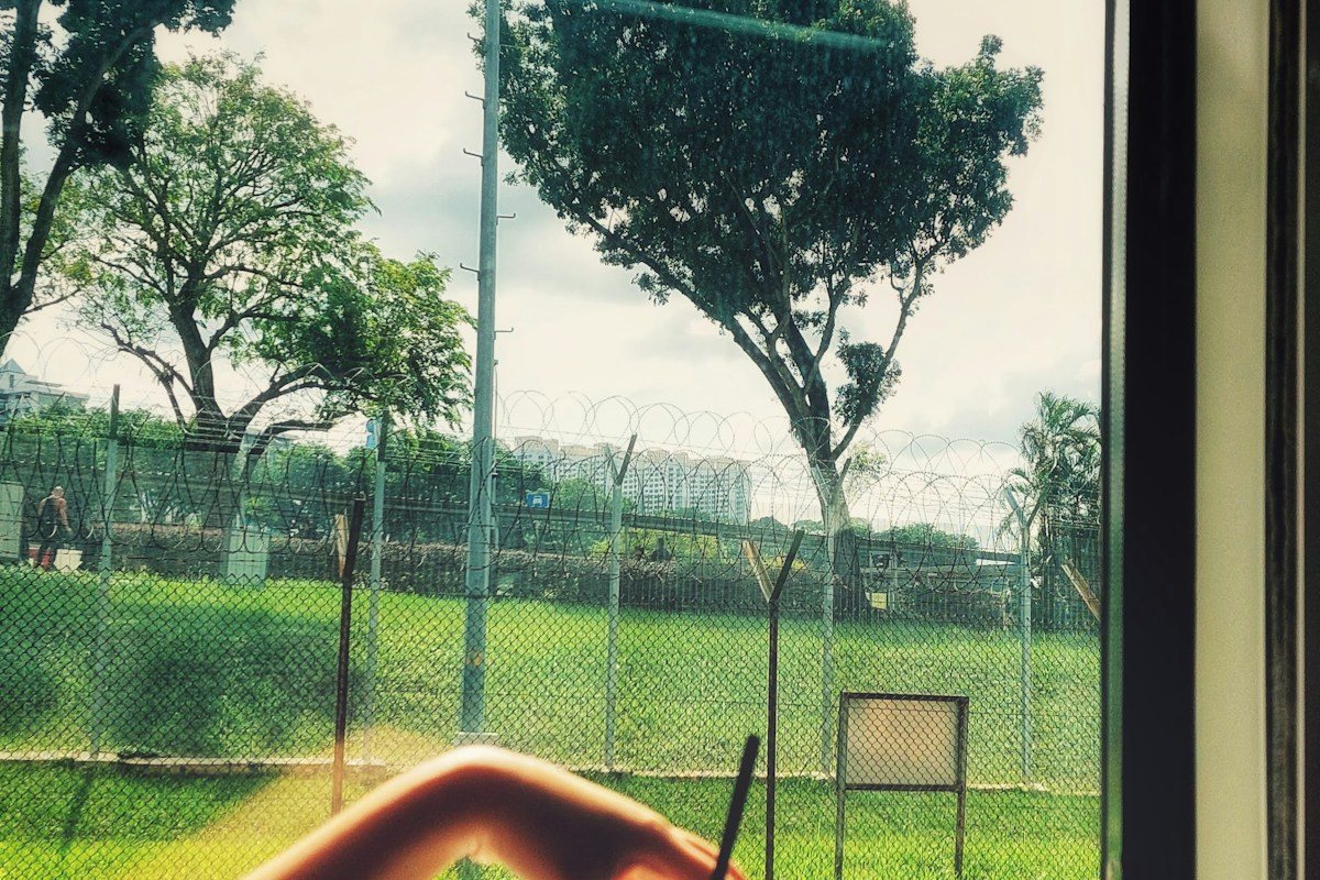 Trees and a sports field seen through a train window