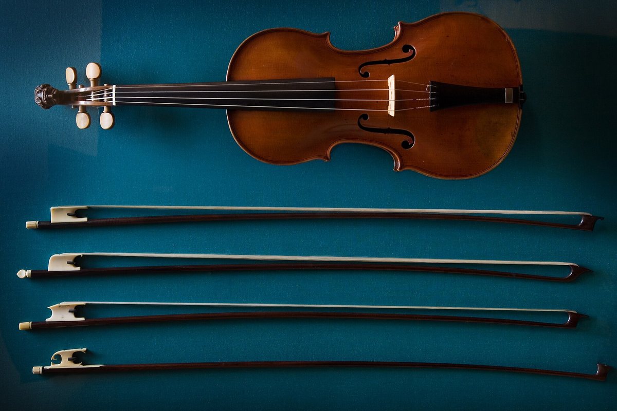 A violin displayed with several bows on a dark blue background